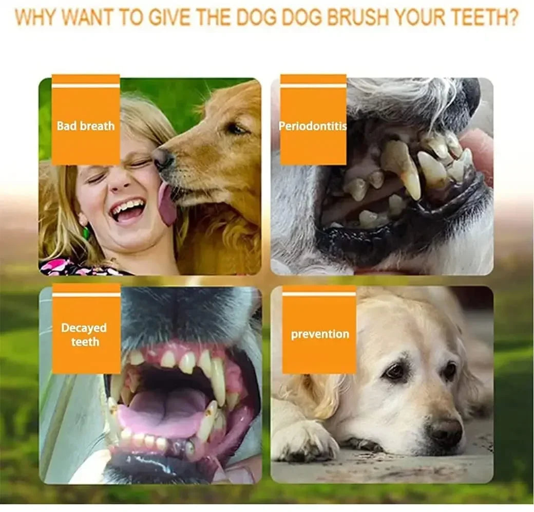 Pet Finger Toothbrush - Soft Silicone Dental Care Tool for Dogs & Cats