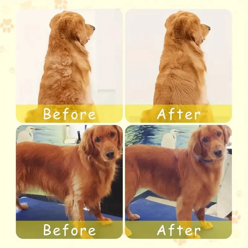 3-in-1 Electric Steam Dog Brush - Pet Grooming Spray Brush for Cats & Dogs