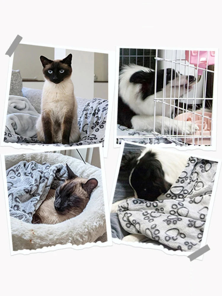 Soft Fluffy Pet Blanket - Cute Cartoon Pattern Mat for Cats & Dogs