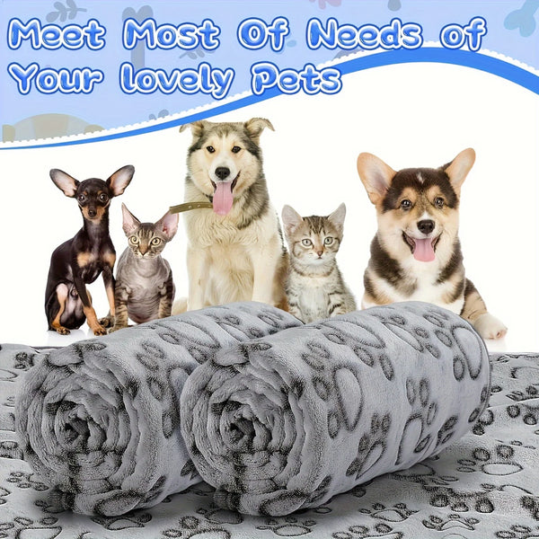 Soft Fluffy Pet Blanket - Cute Cartoon Pattern Mat for Cats & Dogs